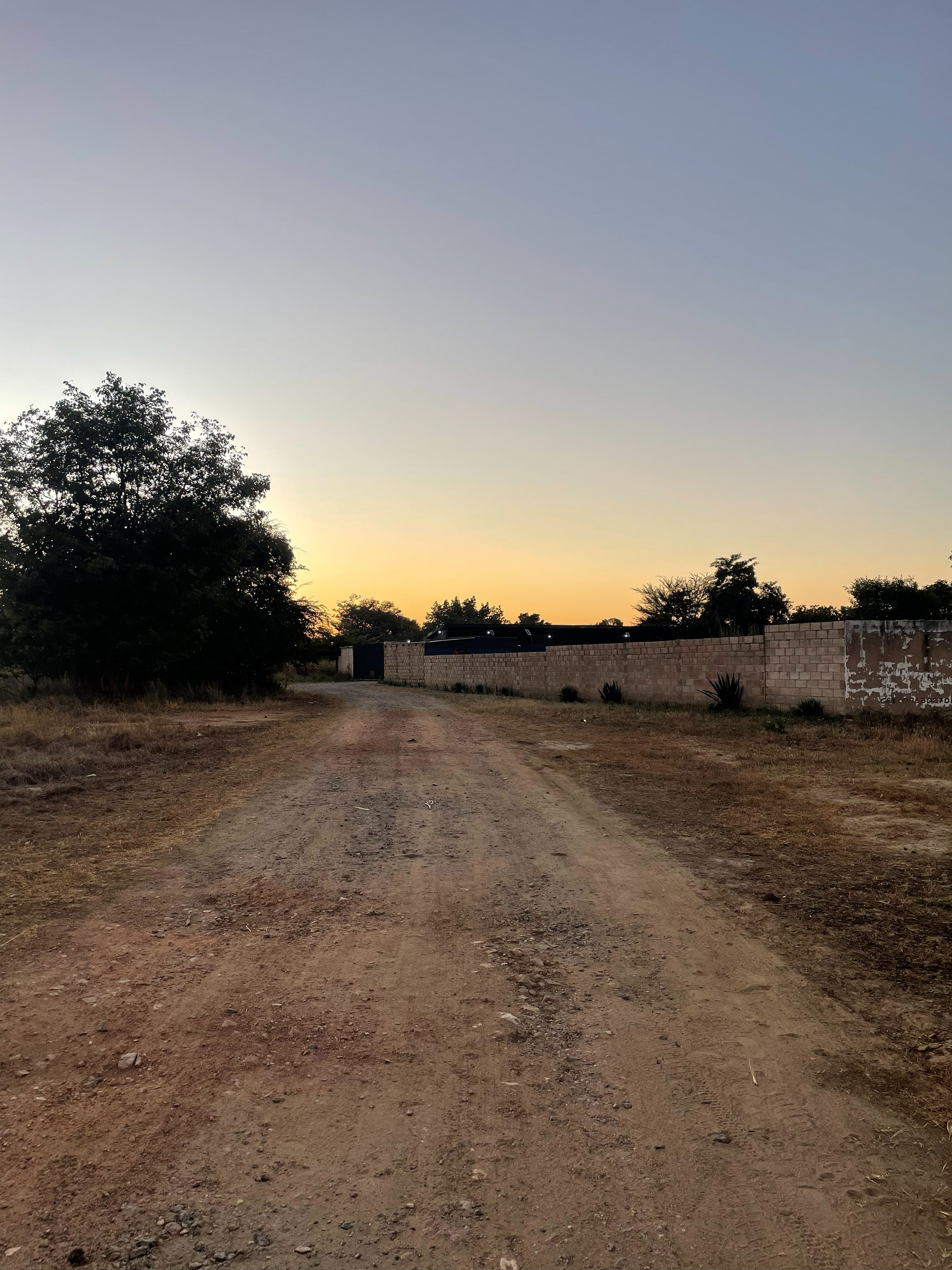 The track in from the highway at dusk