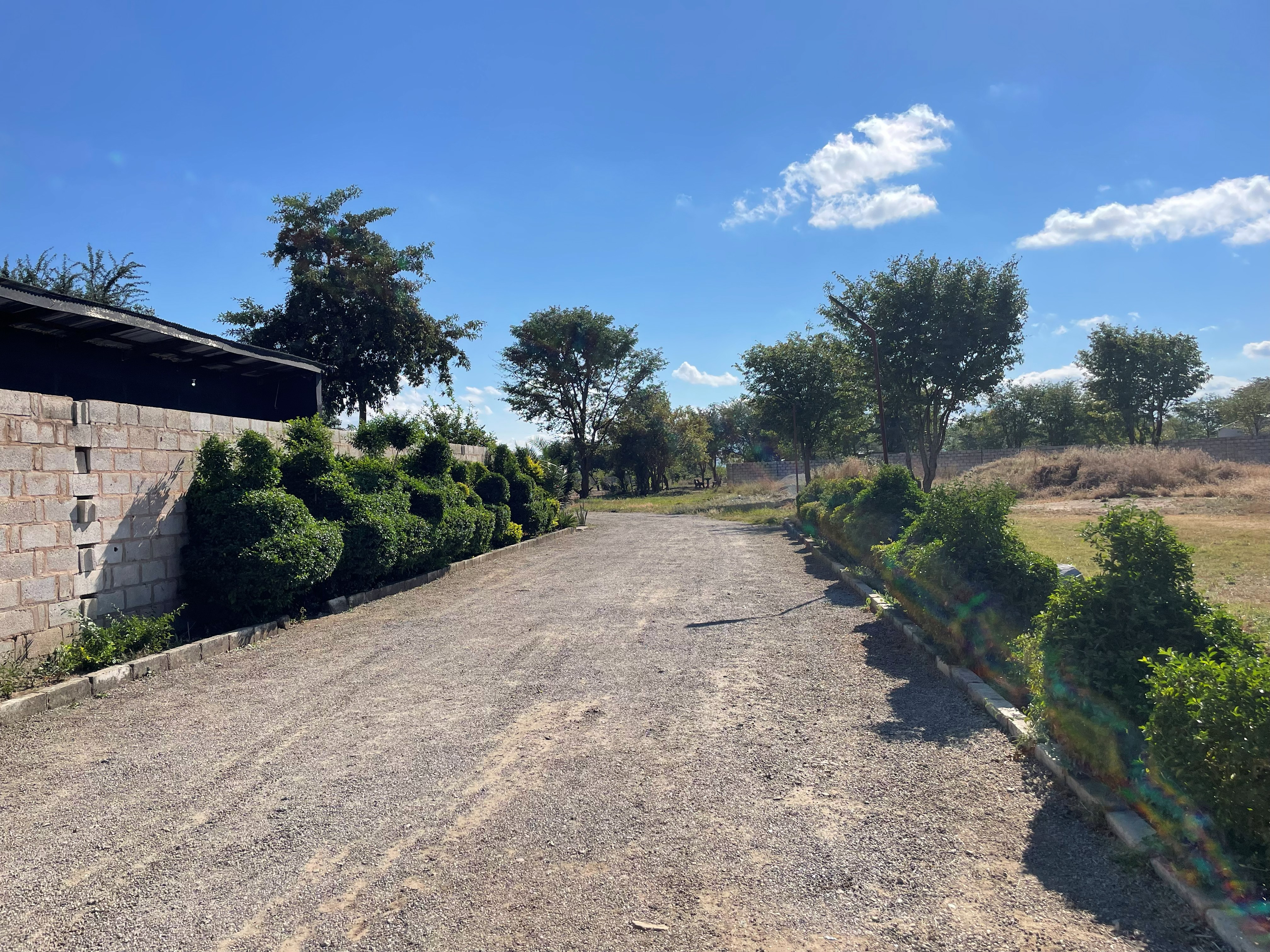 Clipped hedges lining the gravel driveway into CEG Lodge