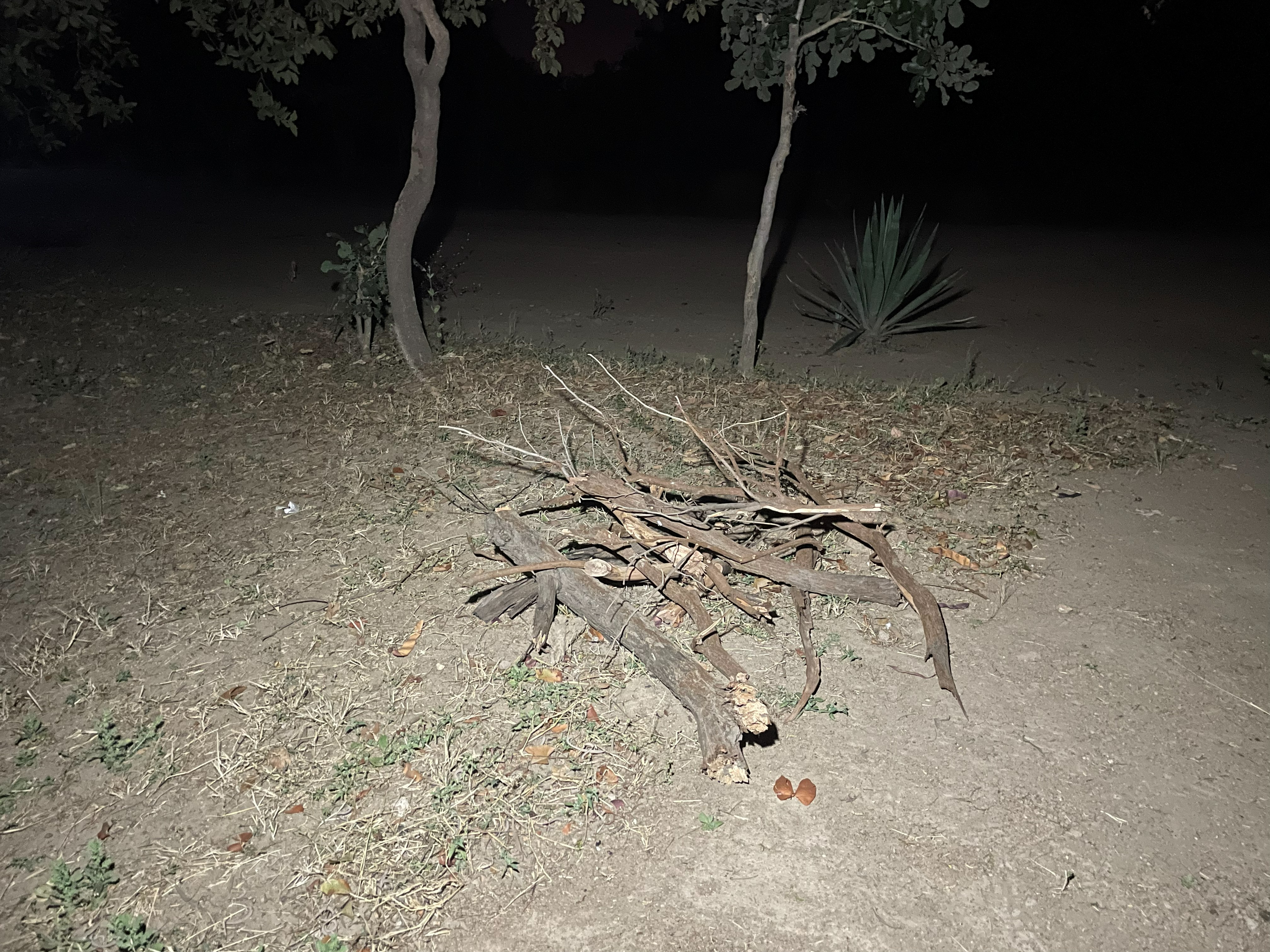 Firewood, cut on request