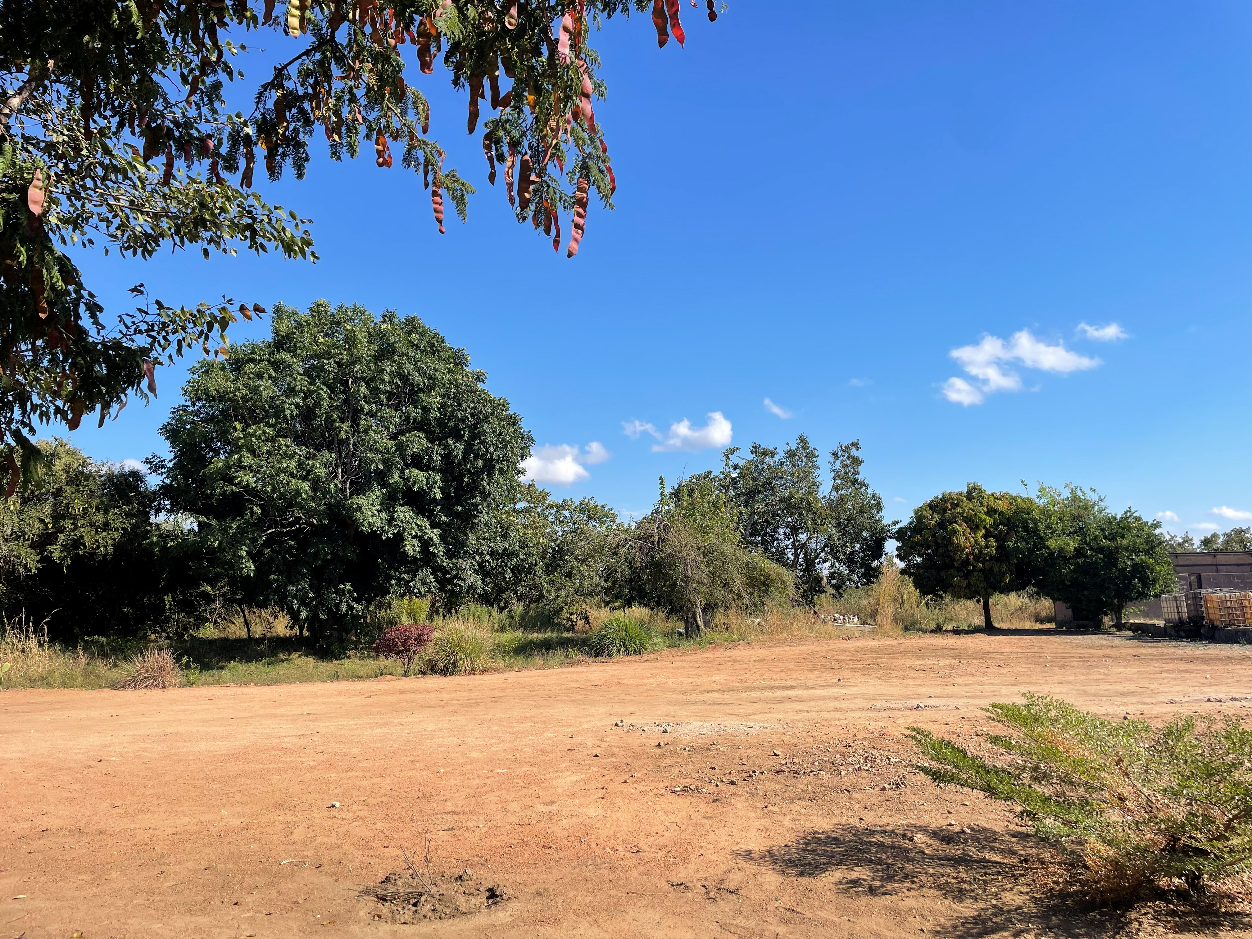 The grounds looking toward the main building