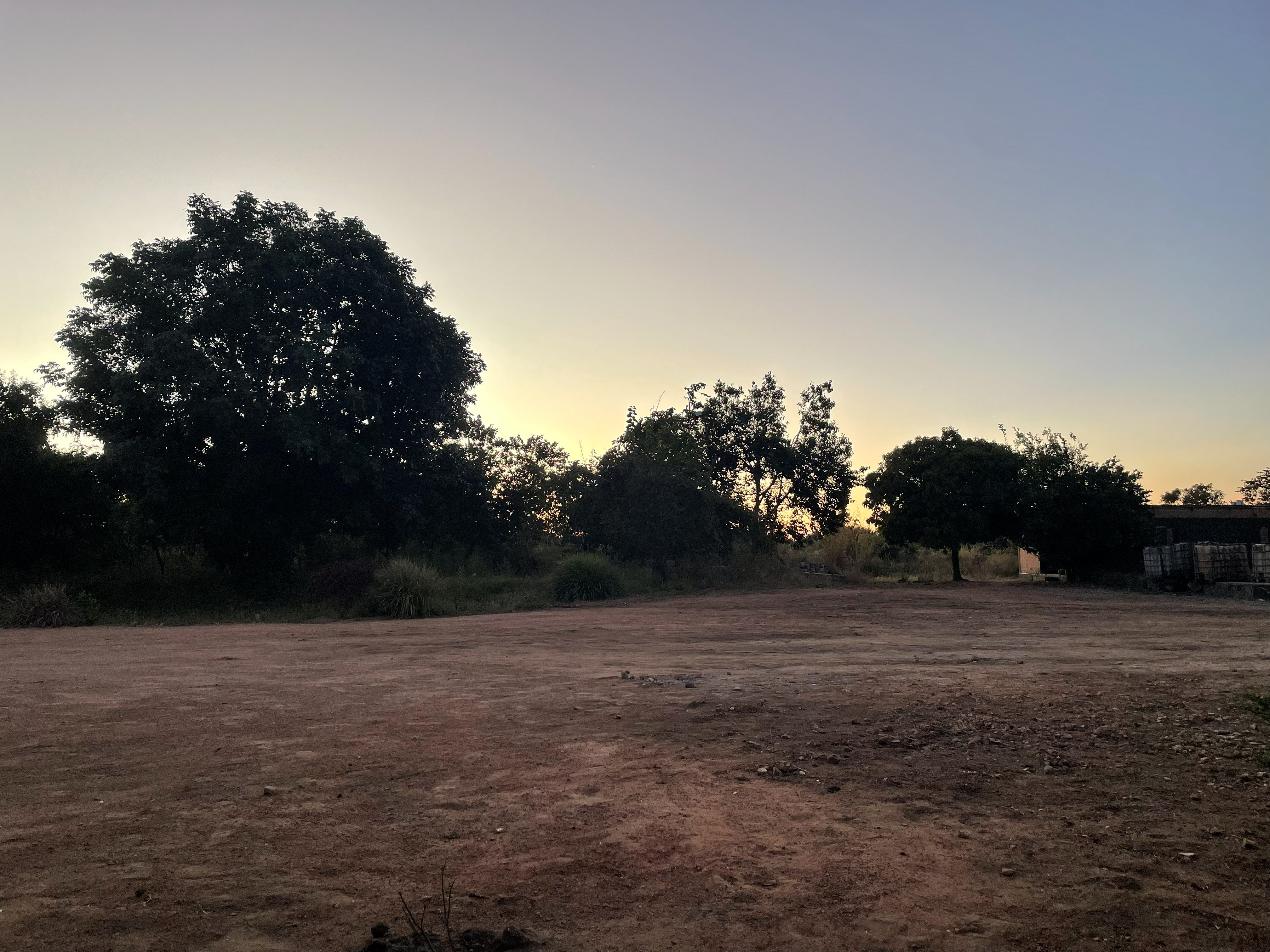 Open field on the property at dusk