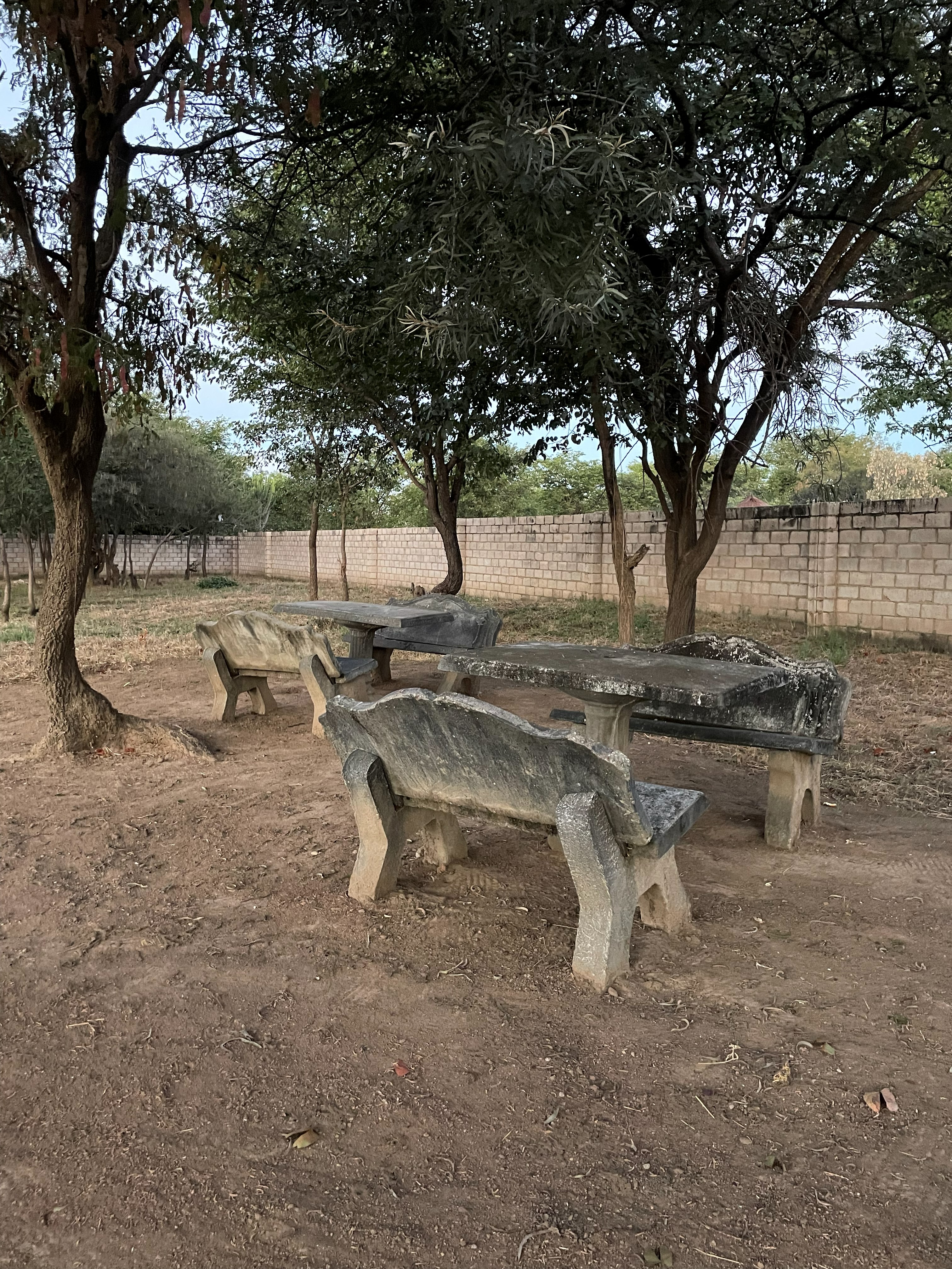 Stone benches and table under shade trees