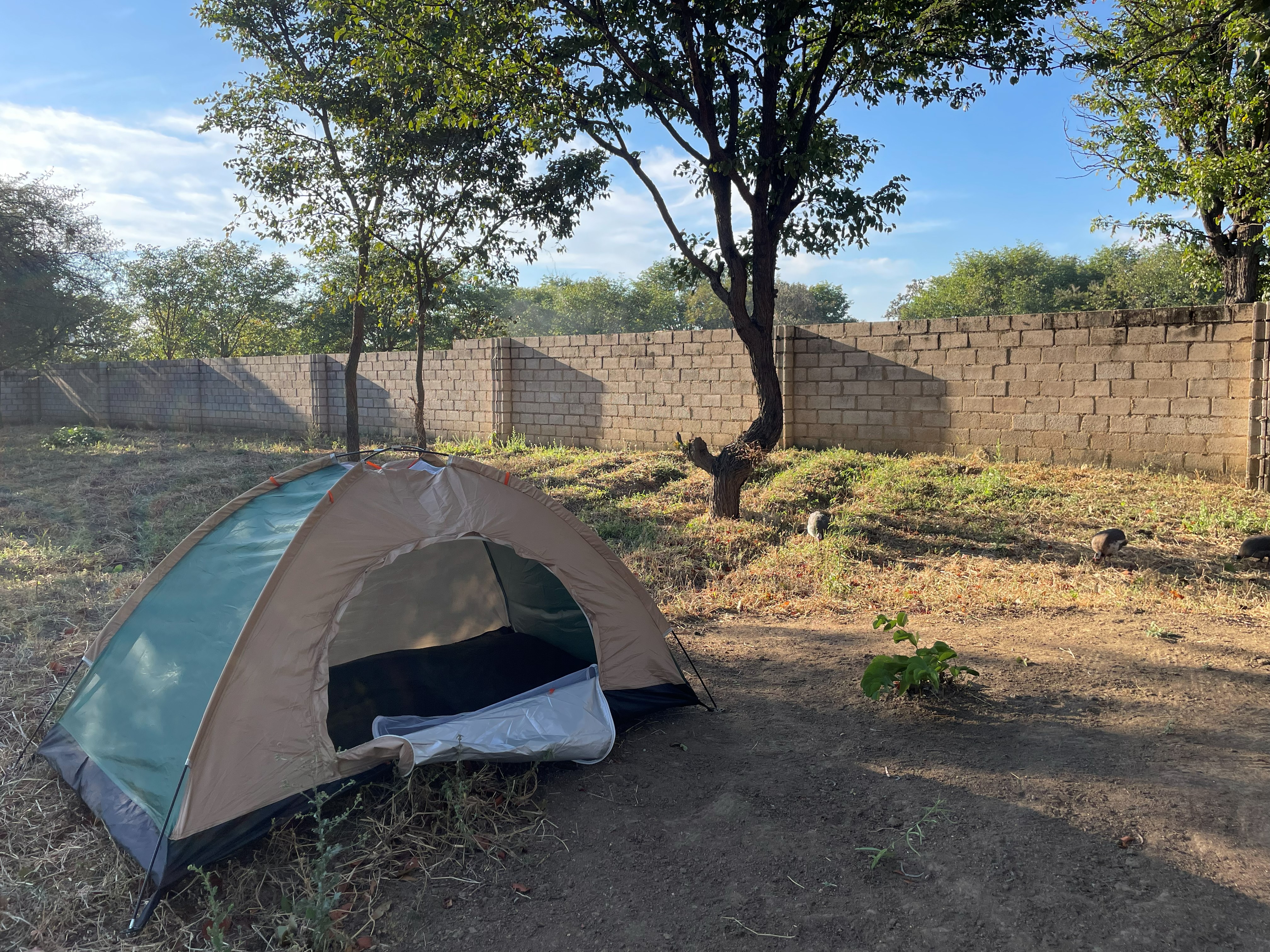 A tent pitched on the lawn inside the walled compound