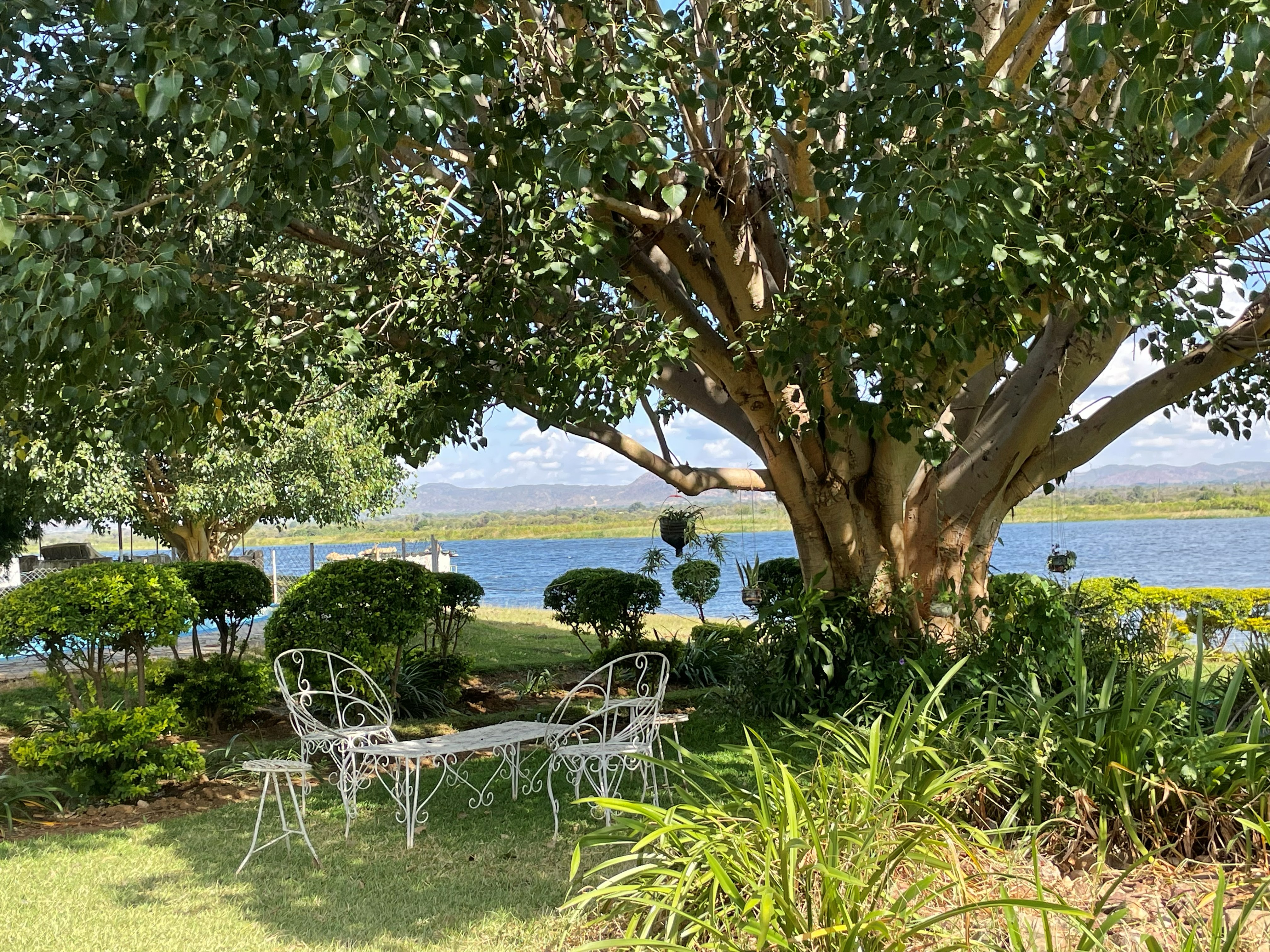 Riverside garden seating area