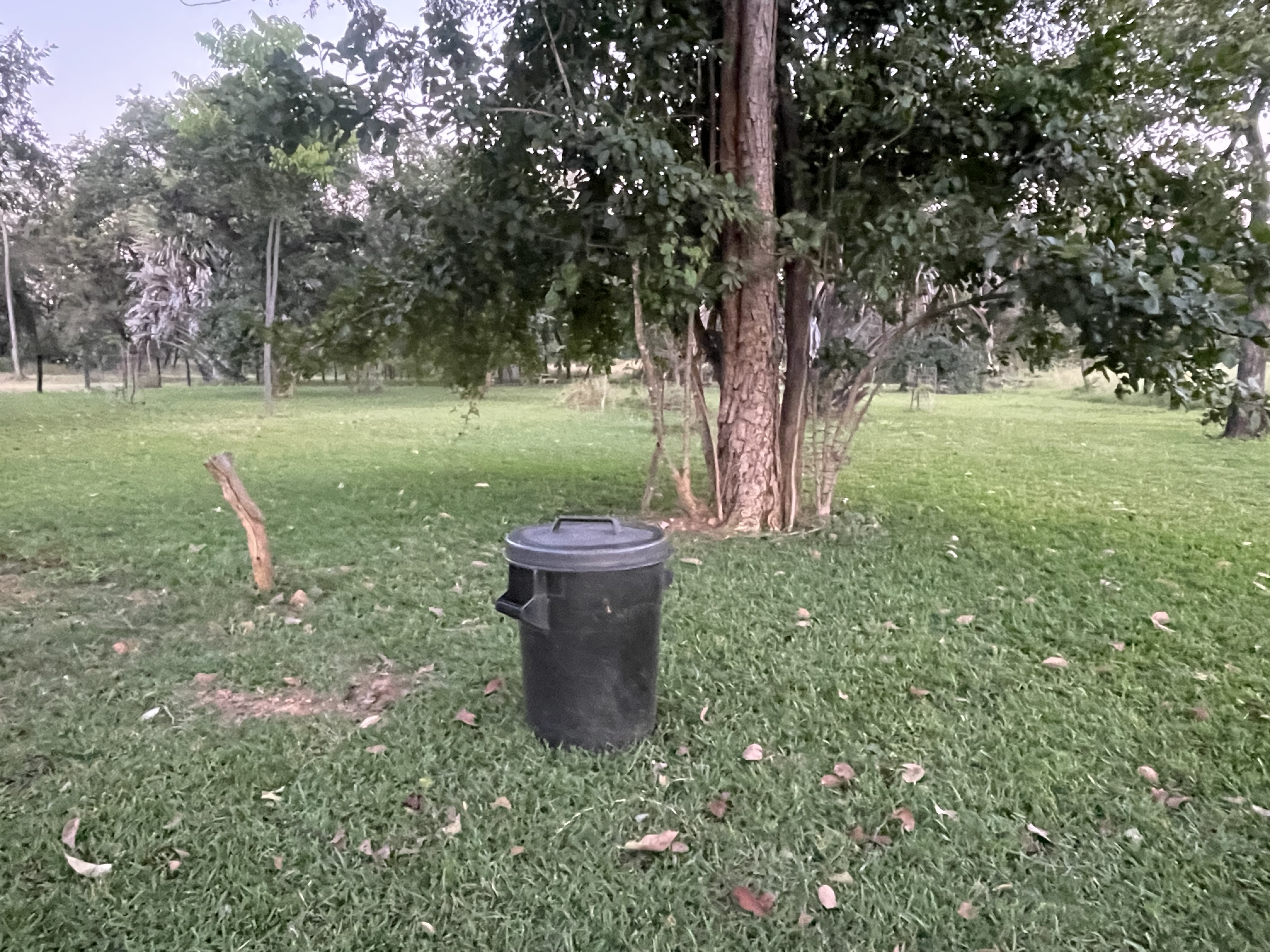 Waste Bin